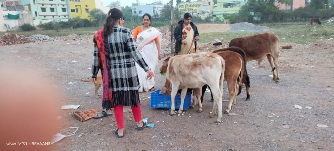 गौ सेवा के दौरान चारा व्यवस्था