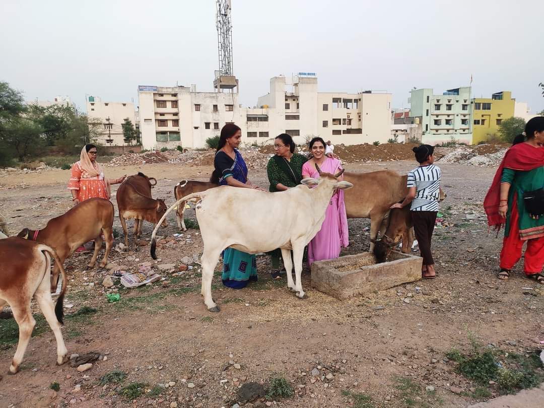 गौ सेवा और संरक्षण